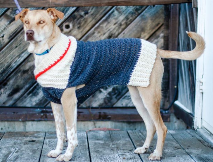 Free Dog Sweater Crochet Patterns - Psychedelic Doilies